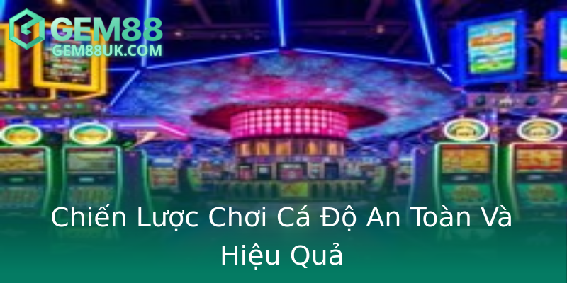 Chiến Lược Chơi Cá Độ An Toàn Và Hiệu Quả
