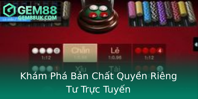 Khám Phá Bản Chất Quyền Riêng Tư Trực Tuyến